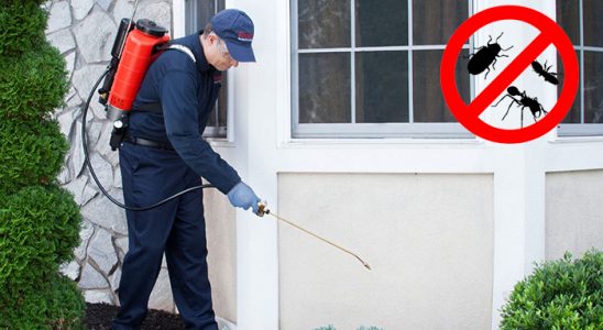 Kurtalan Karınca İlaçlama böcek ilaçlama ve haşere kontrolü — ilaclama-tr.com